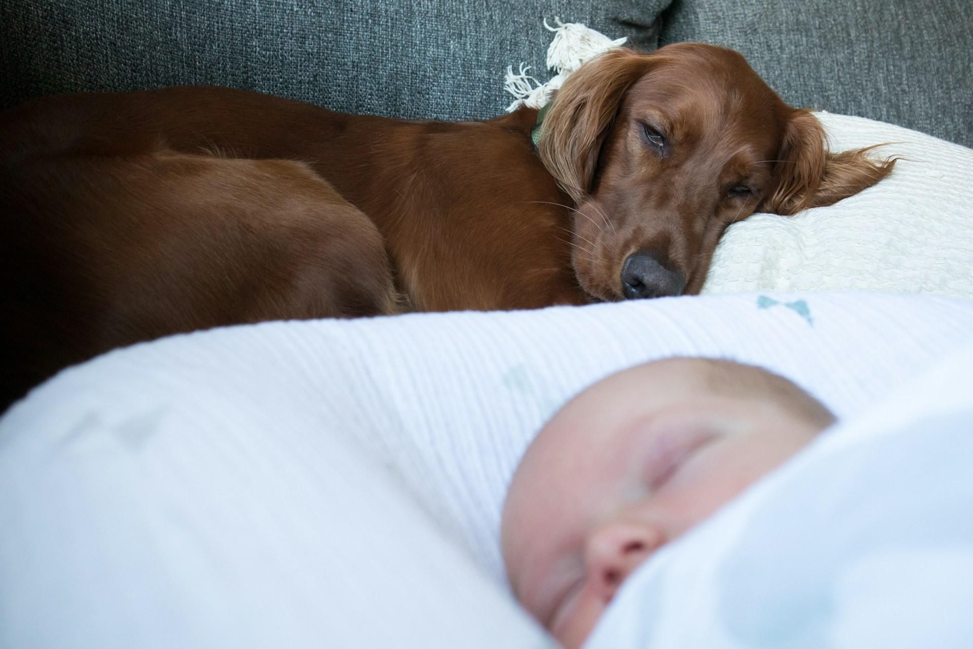 Second Month with a Newborn - Why It Feels So Hard